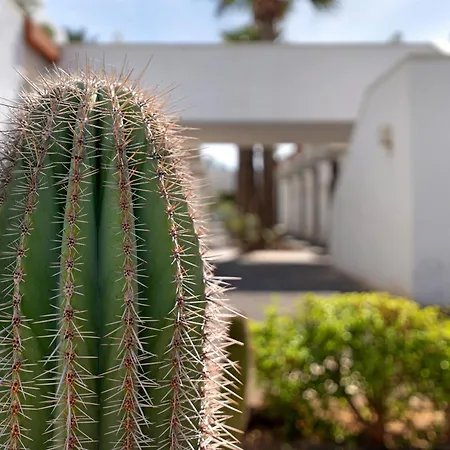 Aaron Beautifull House Apartmán