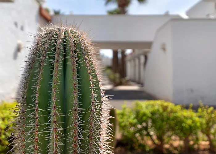 Aaron Beautifull House Lägenhet